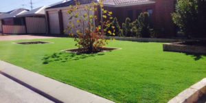 artificial grass perth