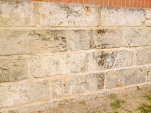 natural limestone block wall