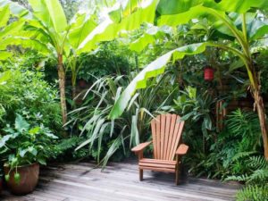 tropical landscaping styles