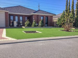artificial grass suppliers perth