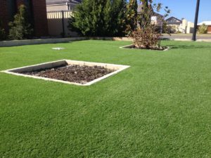 artificial grass suppliers perth