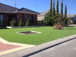 artificial grass suppliers perth