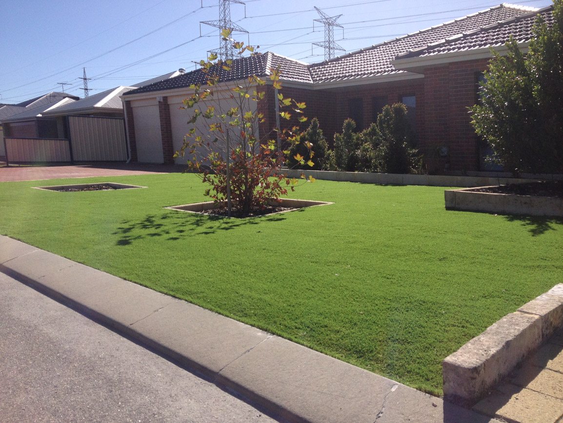 artificial lawn perth artificial grass suppliers perth