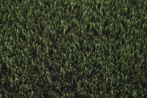 artificial grass perth wholesale cheap best price