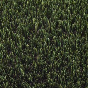 VIRIDIAN artificial grass perth top view synthetic turf