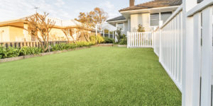 artificial grass perth