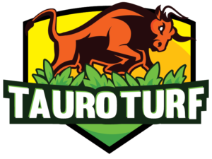 Artificial grass perth