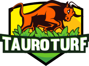 Artificial grass perth